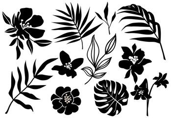 Vector tropic leaves and flower silhouette. Jungle plant, monstera leaf, palm frond, exotic floral. Abstract set - 429371581