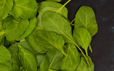 Fresh baby spinach leaves
