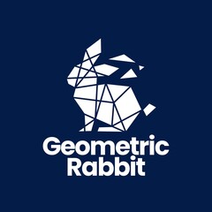 rabbit hare bunny geometric polygonal tech logo vector icon illustration
