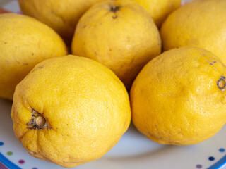 Close up of organic lemons in a colorful dish, on top of a table. Useful as a floral background.