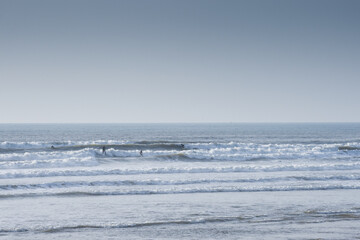 Group of people are surfing and catching waves in the ocean