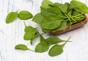Fresh spinach leaves in bowl