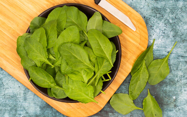 Baby spinach leaves stock photo