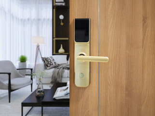 Digital door lock security systems for good safety of apartment door. Electronic door handle with key pads numbers. Selective focus