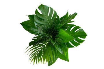 Group Green leaves tropical foliage plant bush of philodendron, dracaena and fern floral arrangment...