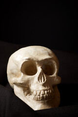 Clay human skull