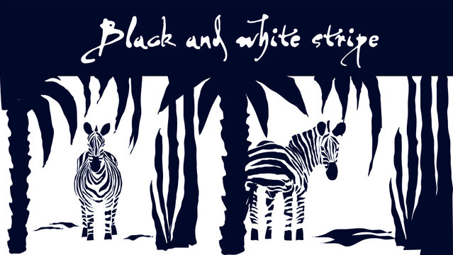 In a tropical forest, a beautiful, striped zebra walks around wildlife, tropical plants, palms. Vector graphics