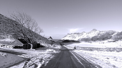 winter black and white landscape 