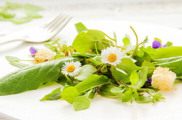 Wildkräuter Salat Wildkräutersalat essbare Blüten Blätter Teller frisch 