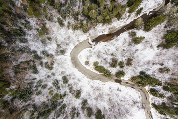 Aerial view of winding river and forest in Riezupe river nature park in winter day, Latvia. 