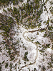 Obraz premium Aerial view of winding river and forest in Riezupe river nature park in winter day, Latvia. 
