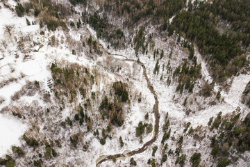 Aerial view of winding river and forest in Riezupe river nature park in winter day, Latvia. 