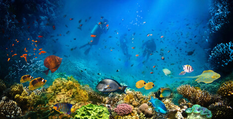 Plakat Group of scuba divers exploring coral reef. Underwater sports and tropical vacation concept