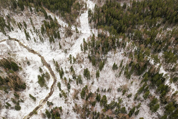 Aerial view of forest, winding road and winding river in Riezupe river nature park in winter day, Latvia. 