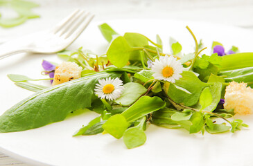 Wildkräutersalat essbare Blüten und Blätter Kräutersalat Wildkräuter Salat sammeln essen © eflstudioart