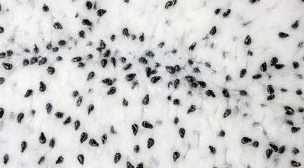 Close up of fresh dragon fruit for a background.