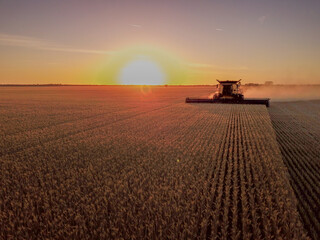 Harvesting at Sunset