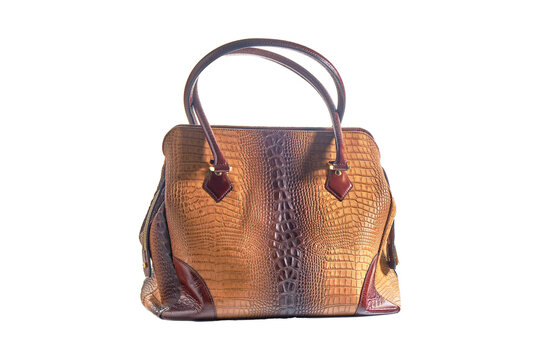 3D chanel 2 55 handbag model - TurboSquid 1230817