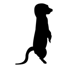Silhouette meerkat in pose suricata suricatta black color vector illustration flat style image