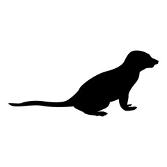 Silhouette meerkat in pose suricata suricatta black color vector illustration flat style image