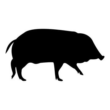 Silhouette wild boar hog wart swine suidae sus tusker scrofa black color vector illustration flat style image