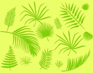 Fototapeta na wymiar Tropical leaves of different shapes elongated, round, oval isolated from the background. Vector graphics