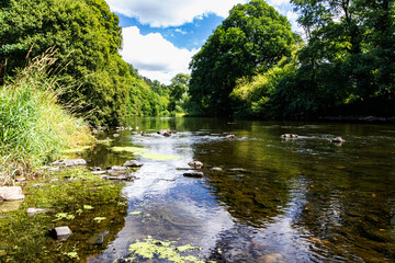 Fototapeta na wymiar Summer View of the River Torridge: Looking Up River in Reduced Flow Showing The River Valley and Exposed River Bed. River Torridge, Great Torrington, Devon, England.