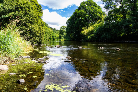 Summer View of the River Torridge: Looking Up River in Reduced Flow Showing The River Valley and Exposed River Bed. River Torridge, Great Torrington, Devon, England.