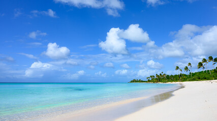 Tropical beach with sea view and palm trees in background
