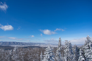 Fototapeta premium Beautiful panorama of the mountains in winter in the Carpathian region
