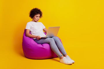 Portrait of woman typing on laptop computer sit beanbag look screen isolated on yellow background