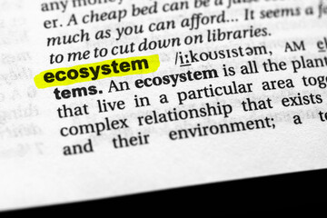 Highlighted word ecosystem concept and meaning