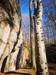 An der Luisengrotte in der Nähe vom Rennsteig und Wolfsburg-Unkeroda