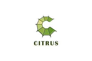 Letter c spider net citrus logo design