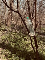 the plastic bottle is on the tree. ecology problem