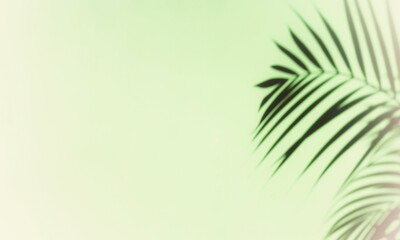 Obraz na płótnie Canvas Abstract background with shadow of tropical palm leaves. Creative minimal summer travel concept with shadow palm tree leaf. Blurred background. Banner Hello summer. Mock up