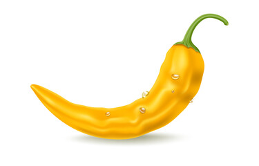 Realistic yellow hot chili pepper with drops, hot spice, vector icon, food ingredient and vegetable food.