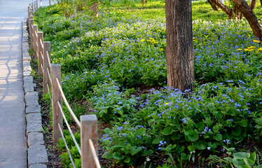 bench at a retaining wall in a park of black bushes early spring perennials on a high flowerbed...