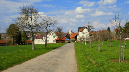 Straße führt zum malerischen Dorf Mindersbach im Schwarzwald zwischen Wiesen und Obstbäumen 