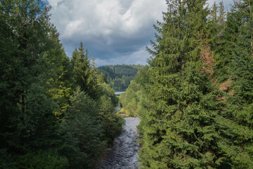 A wild river flowing into a mountain lake among the trees