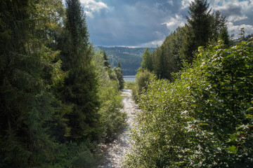 A wild river flowing into a mountain lake among the trees