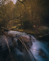 Rio mágico con piedras y arboles