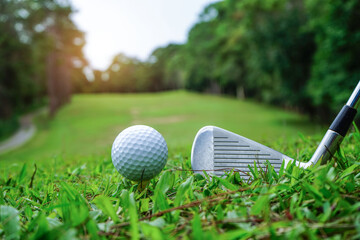 Golf balls and golf clubs on a green lawn in a beautiful golf course with morning sunshine.