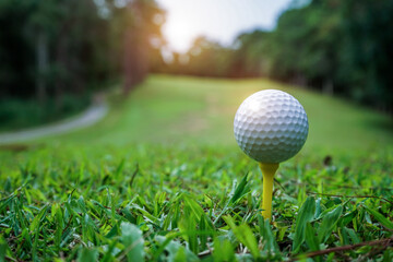 Golf ball on tee in a beautiful golf course with morning sunshine.