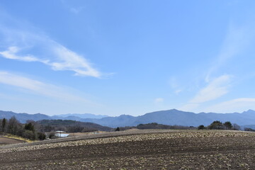 群馬県　キャベツの名産地　嬬恋村　キャベツ畑　4月