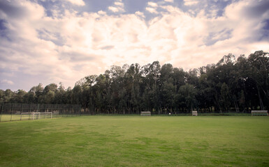 Obraz premium soccer field landscape sport activity