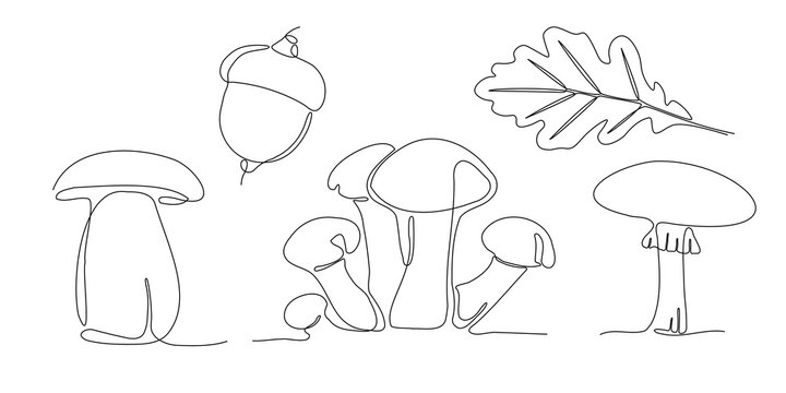 Vector sigle line forest art. Outline honey agaric, mushroom, oak leaves. Nature illustration for design