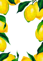 Lemon fruits and leaves watercolor wreath. Lemon hand drawn elements copyspace card design template. Lemon background.