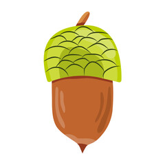 Lucky acorn. Good luck symbol. Isolated item on white background. Vector cartoon illustration.