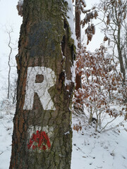 Winter am Rennsteig im Thüringer Wald